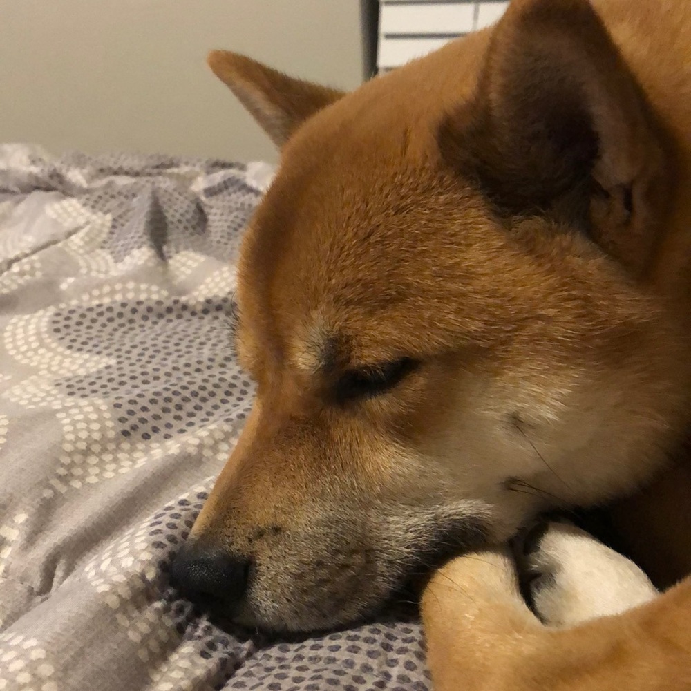 Meet your Posher, Elisabeth